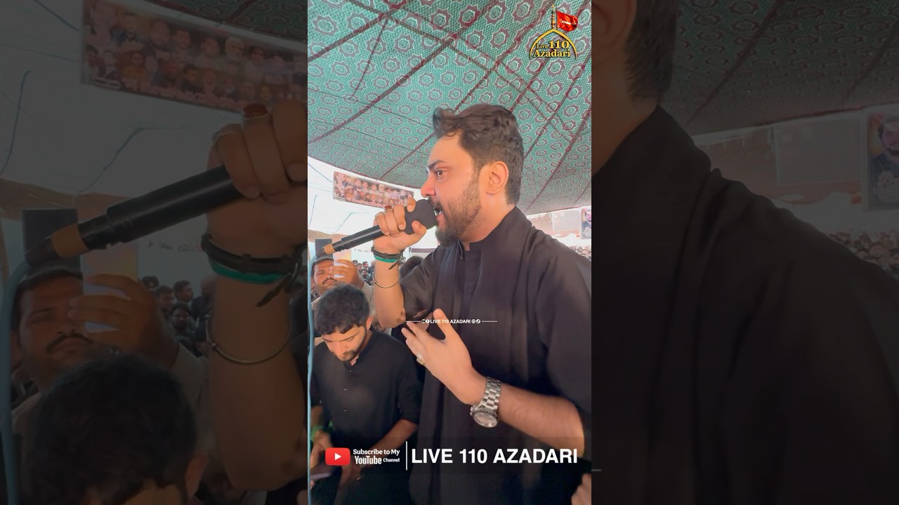 #alihamzashorts