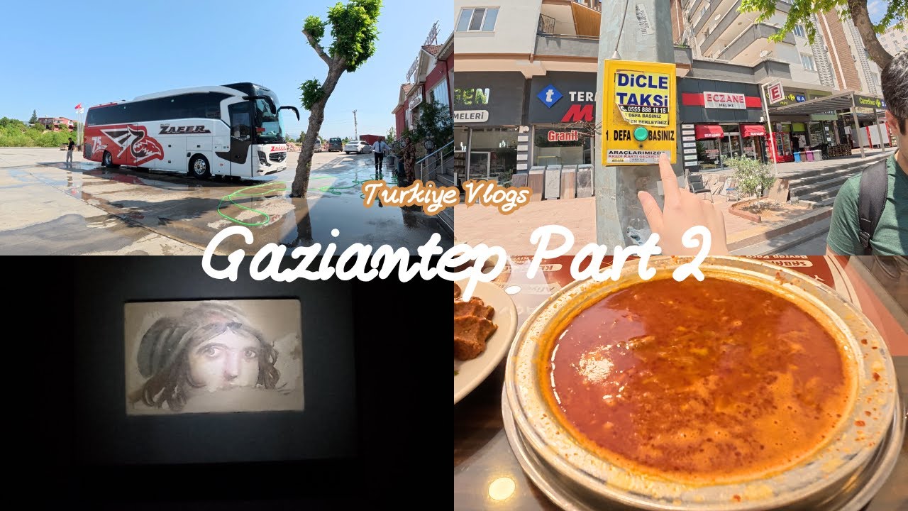 Gaziantep, Turkiye- Part 2 Luxurious bus ride, Fastest taxi, Zeugma mosaics and the best Lamb soup