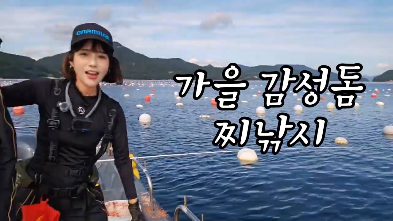 가을 감성돔 낚시! 혼자 선외기타서 손맛보고 왔습니다