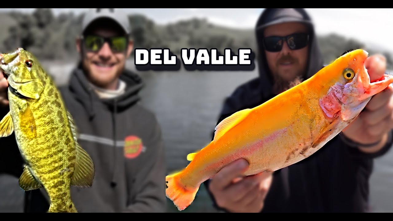 UNEXPECTED Results at Lake Del Valle! (Spring Fishing)