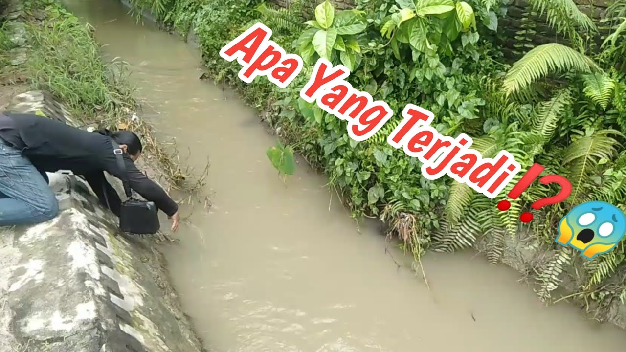 Gawat‼️Mancing Ikan Besar Tarikannya Membuat Mancing Mania Kewalahan - Fishing Fish
