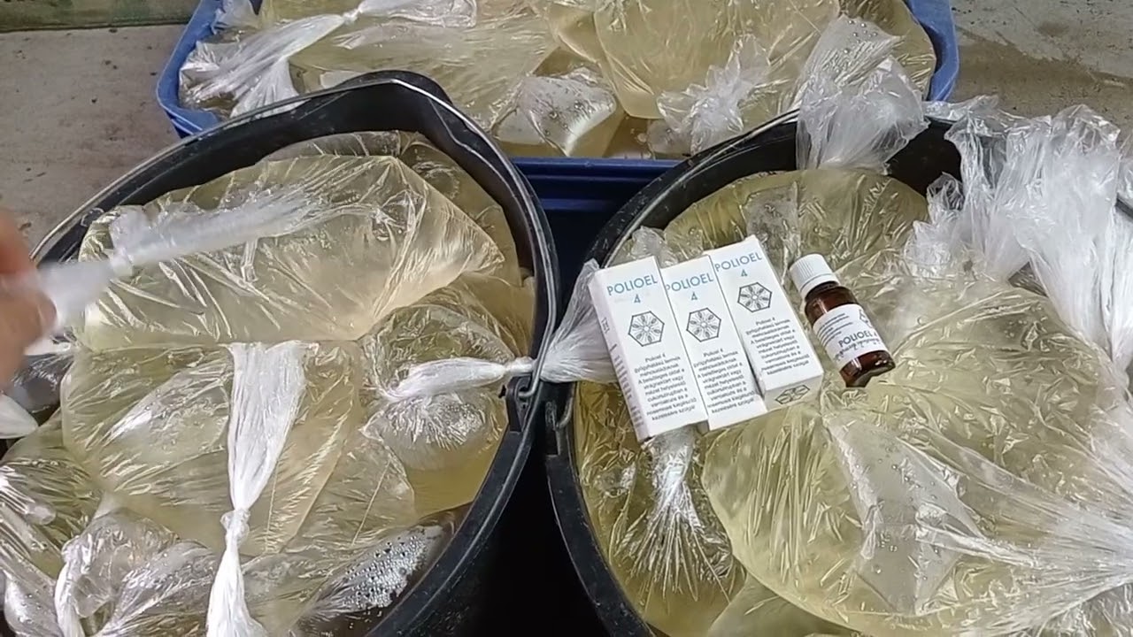 Méhek tavaszi serkentőetetésének célja és módszere