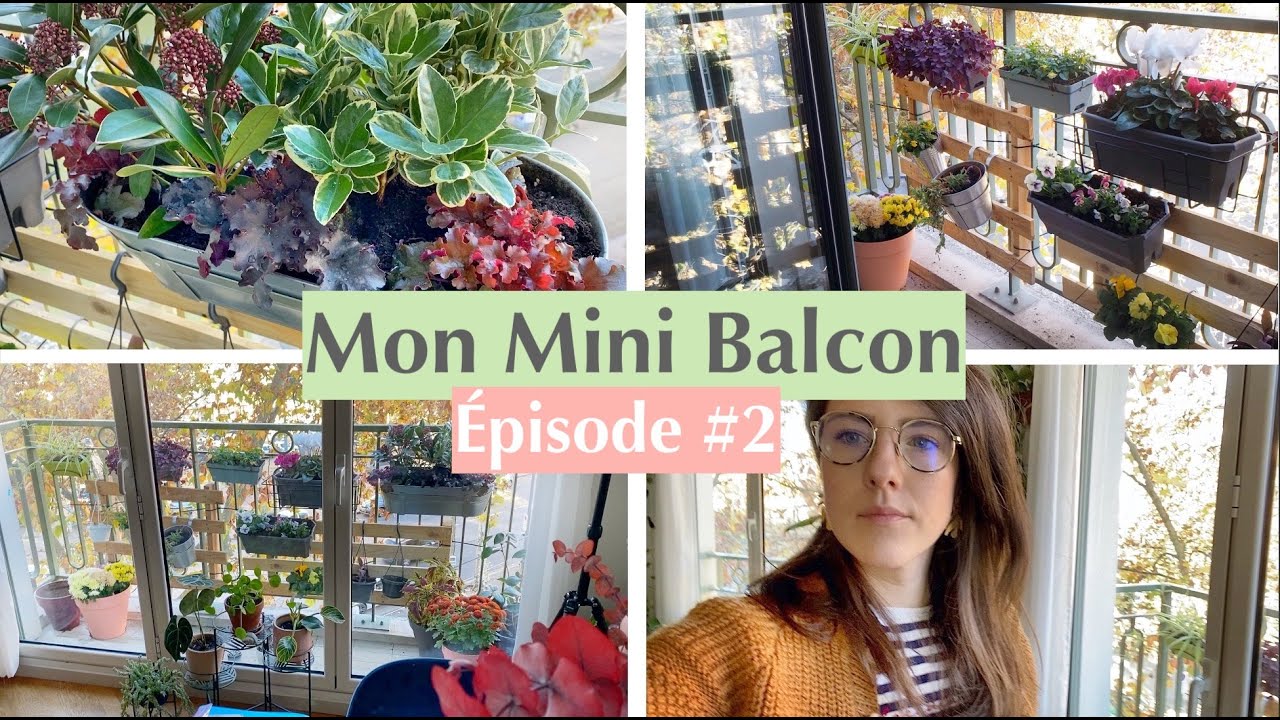 Mon mini balcon épisode #2