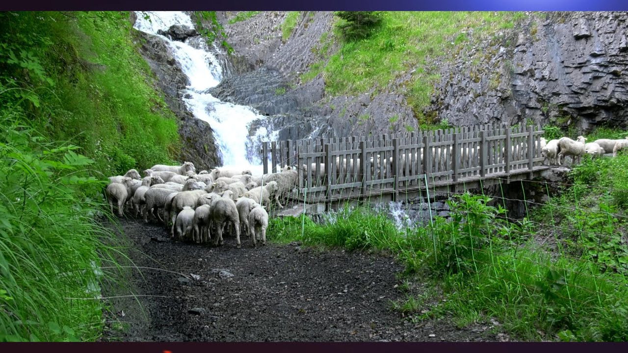 Alpages en Isère