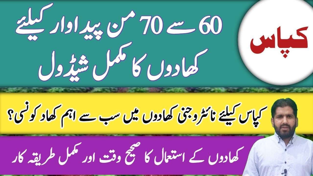Fertilizer Plan of Cotton 2023 | When and How to use nitrogen based fertilizers in cotton