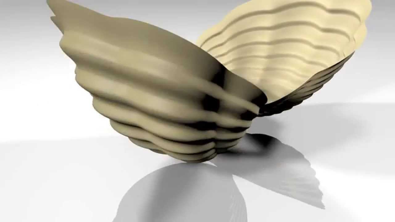 Morphogenesis and metamorphosis of a bivalve shell: a tribute to D'Arcy Thompson
