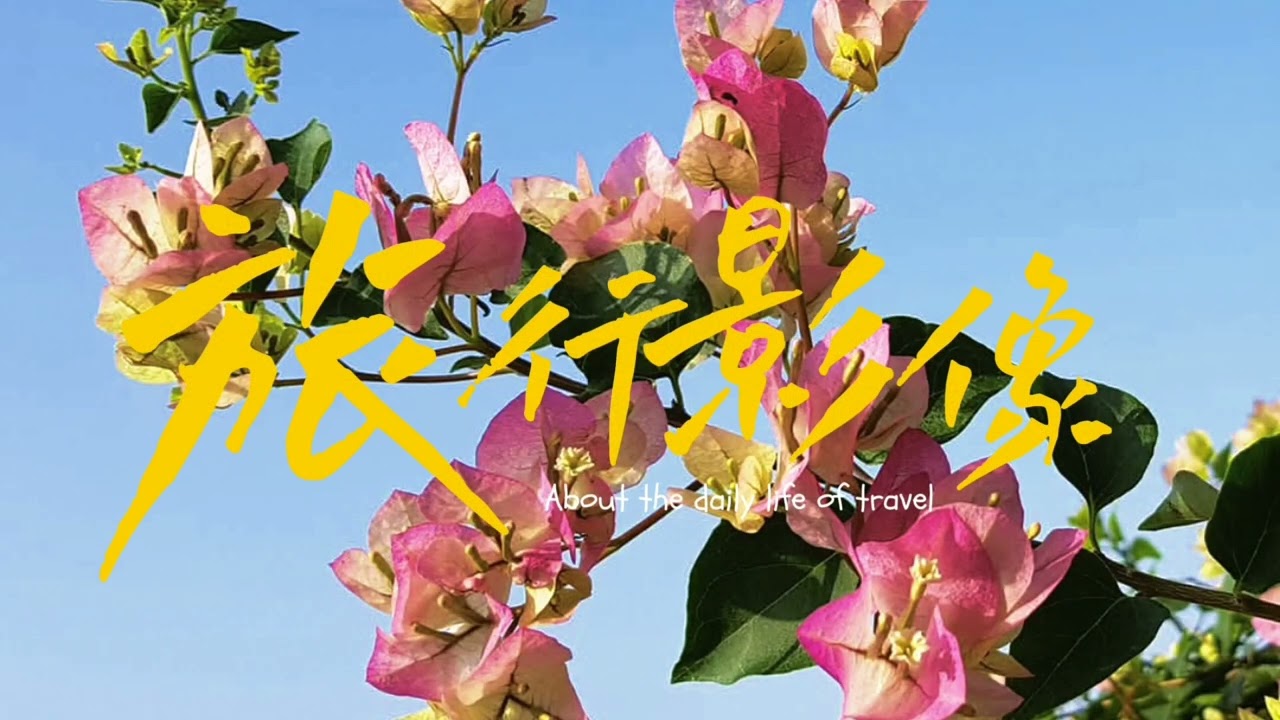 春花望露