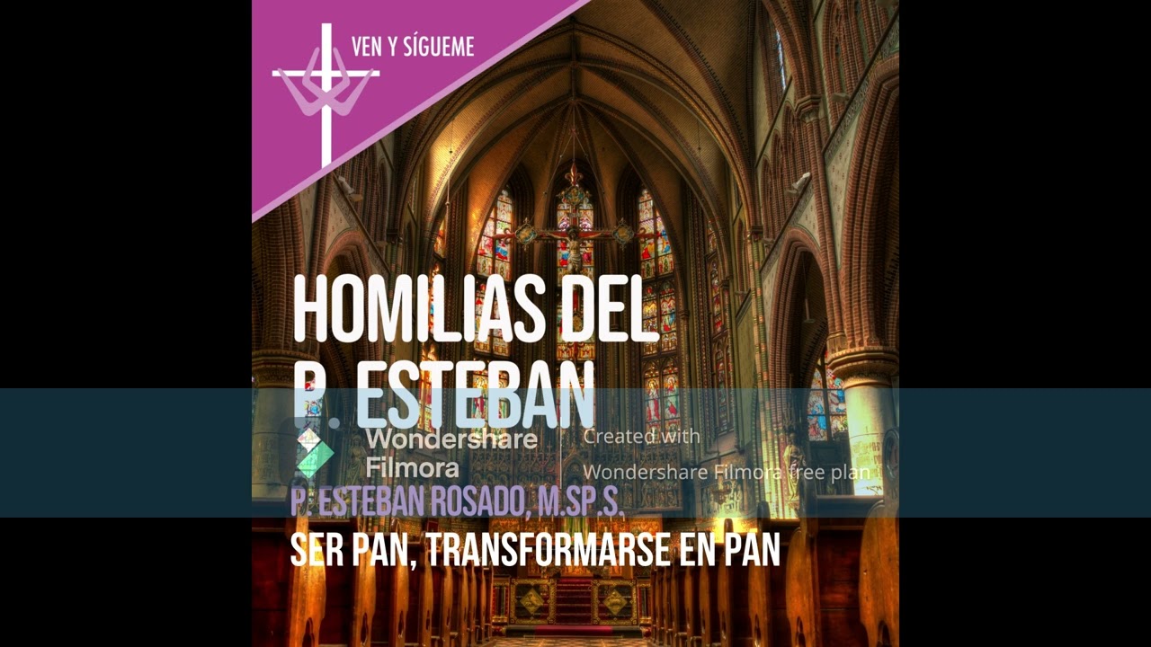 Ser Pan, transformarse en pan - Homilias del P. Esteban