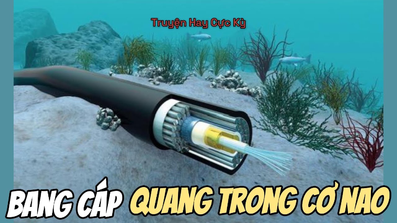 Bang Cấp Quan Trọng Cở Nào #201
