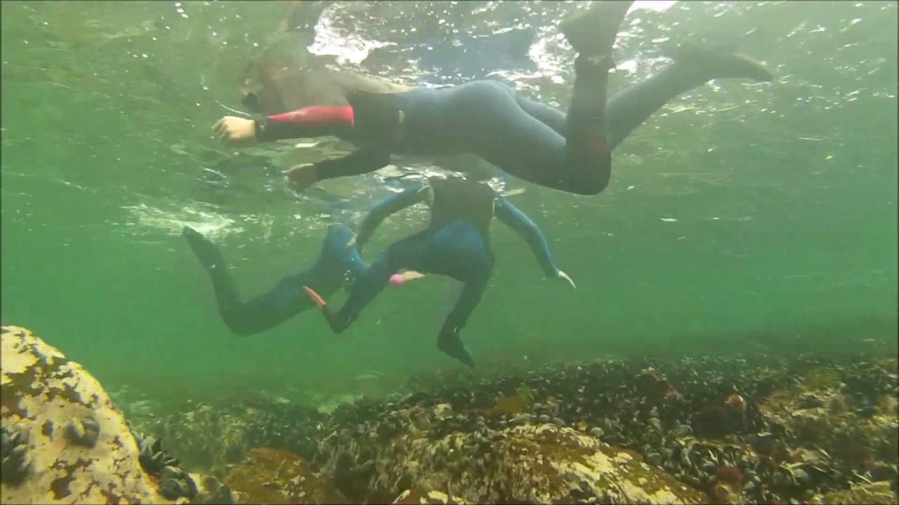 Dusty Feet Snorkeling - Holiday Programme