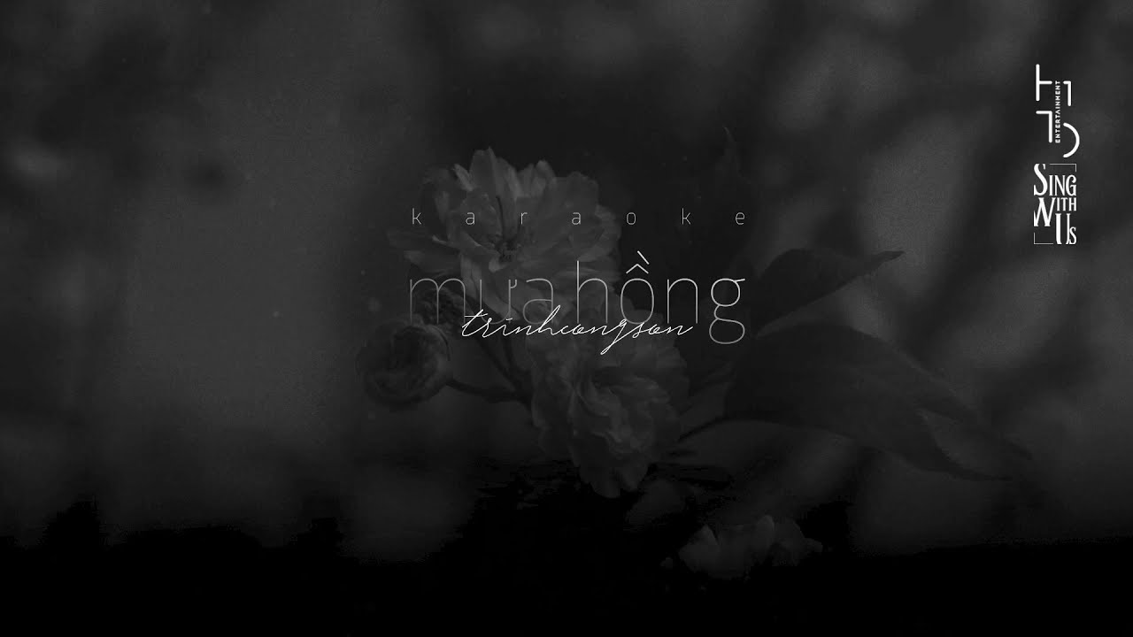Karaoke / Beat | Mưa Hồng | Tone Nam (B)