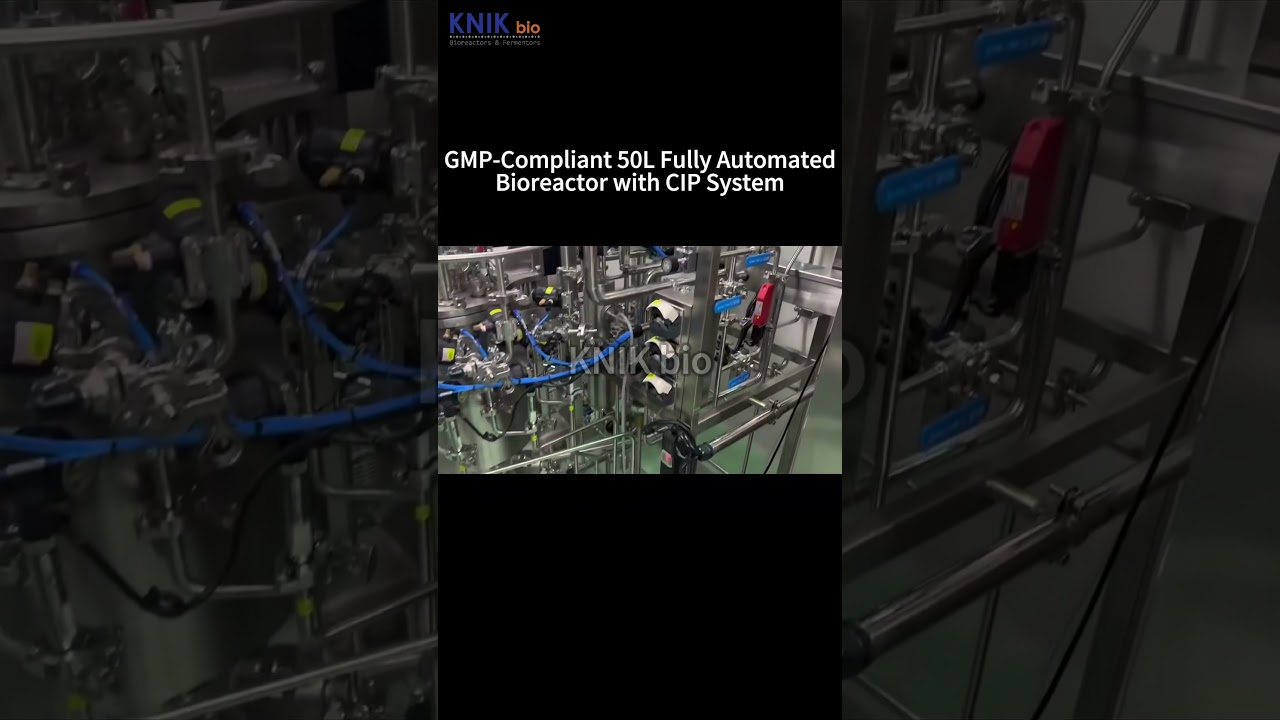 GMP-Compliant 50L Fully Automated Bioreactor with CIP System | KNIKbio #bioreactor #manufacturer