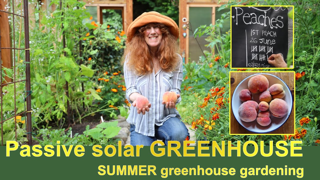 SUMMER days in our passive solar GREENHOUSE | May, June, July