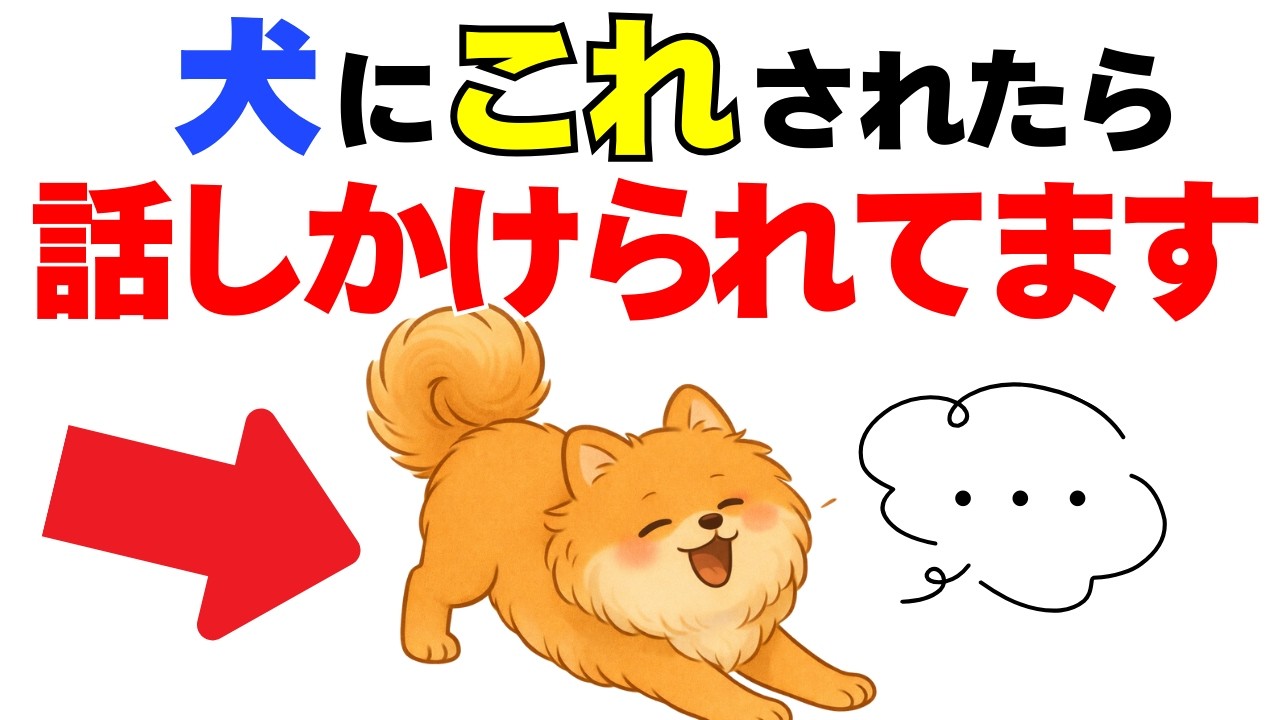 【9割が知らない!!】わんこが話しかける時にする１０の行動｜犬の厳選雑学
