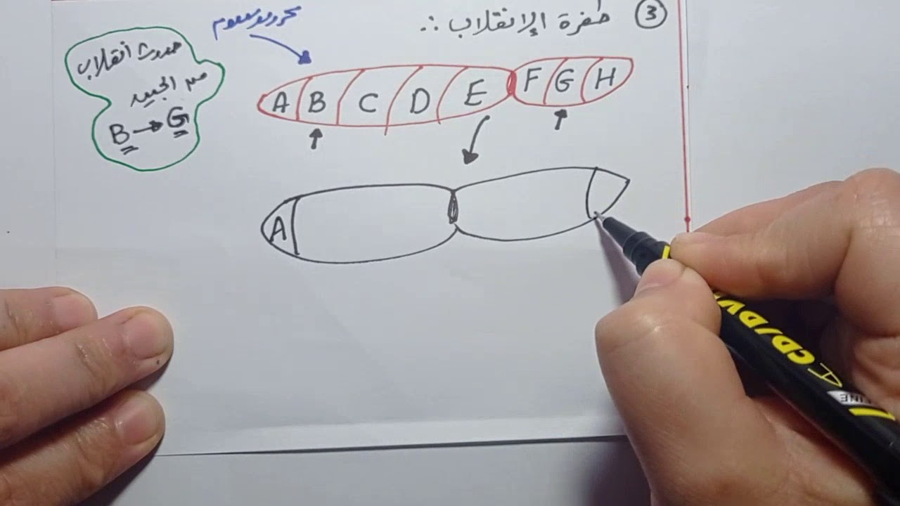 الاختلالات الوراثية بجودة عالية