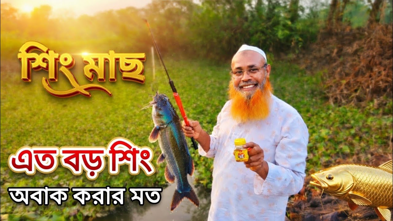 আড়িয়াল বিলে কই মাছের ঝাঁক! আজকের শিকার দেখলে অবাক হবেন 😲