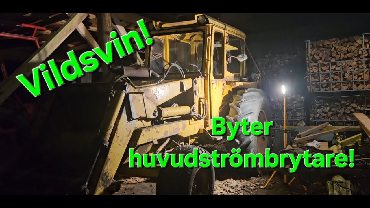 Vildsvin, huvudströmbrytare, skridskor & skidor