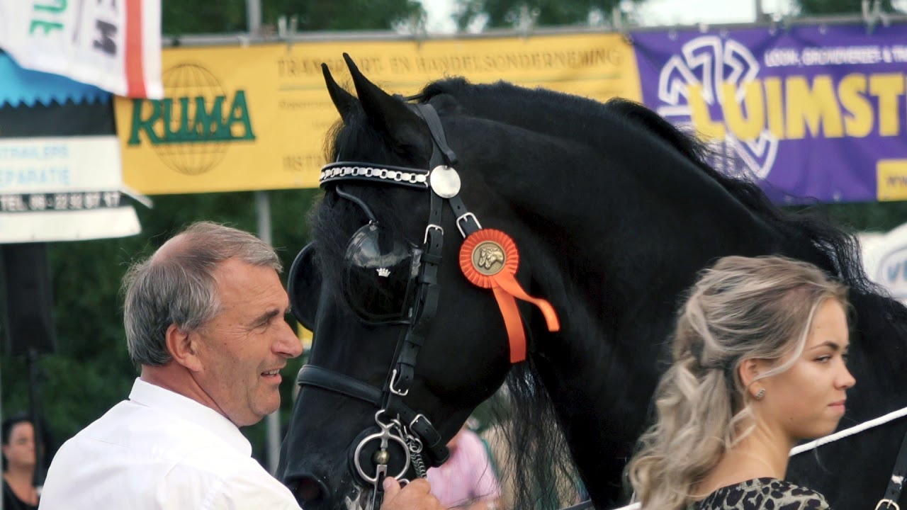 Jelmer Chardon met Eise 489 | Concours hippique Drogeham 2018
