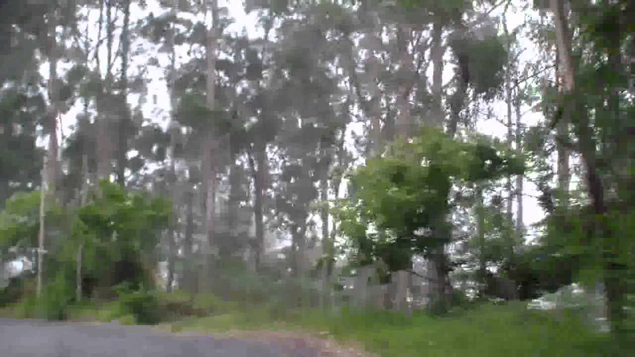 Madeira: Fahrt von Canhas an der Südküste auf die Hochebene Paul da Serra (ER 209)