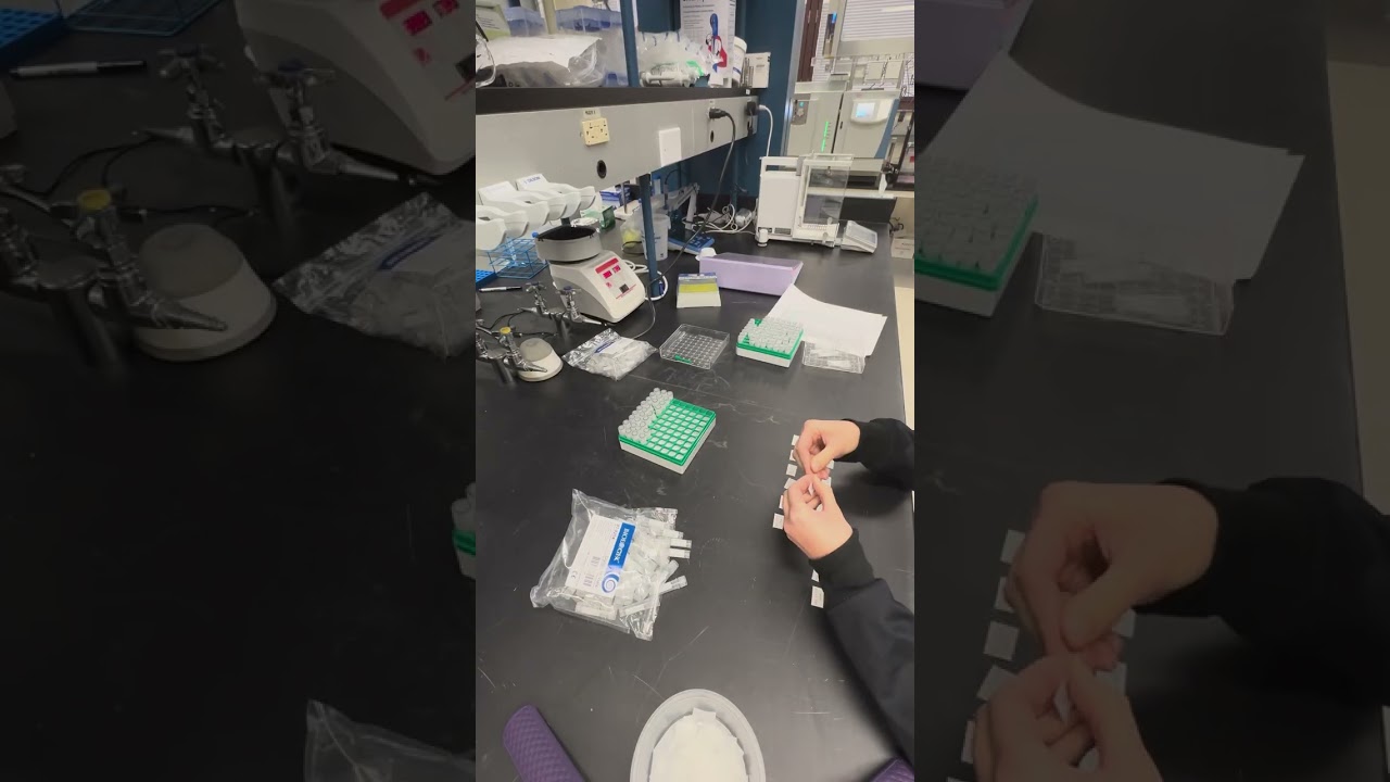 Organizing Samples: a labor of loathe