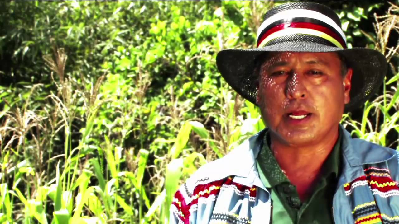 Miccosukee Everglades Activist, OV-102-1