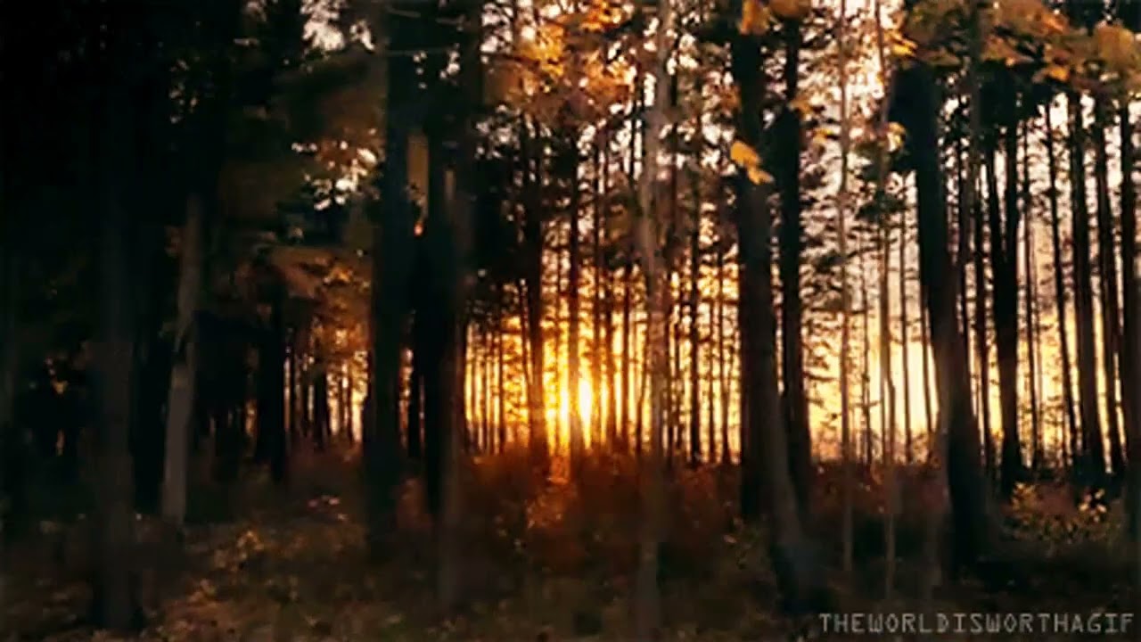 I'm Glad It's You - Minor Acts Of Cannibalism (Slowed To 84%)