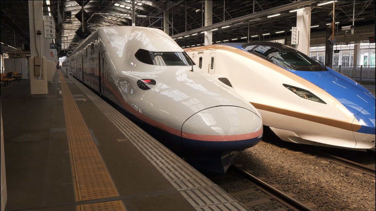 上越新幹線 MAXとき316号 超広角車窓 （E4系運行） 進行右側 新潟～東京【4K60P】