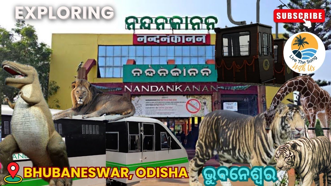 Nandankanan Zoo 2025 (ଆସ ବୁଲିଯିବା ନନ୍ଦନକାନନ ପ୍ରାଣୀ ଉଦ୍ୟାନ) | Travel with us | Odisha Travel Vlogs