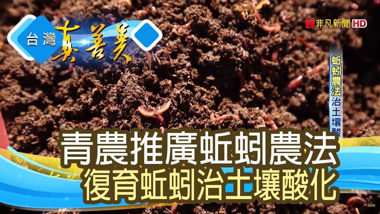 “蚯蚓農法”治土壤酸化【台灣真善美】2019.04.21
