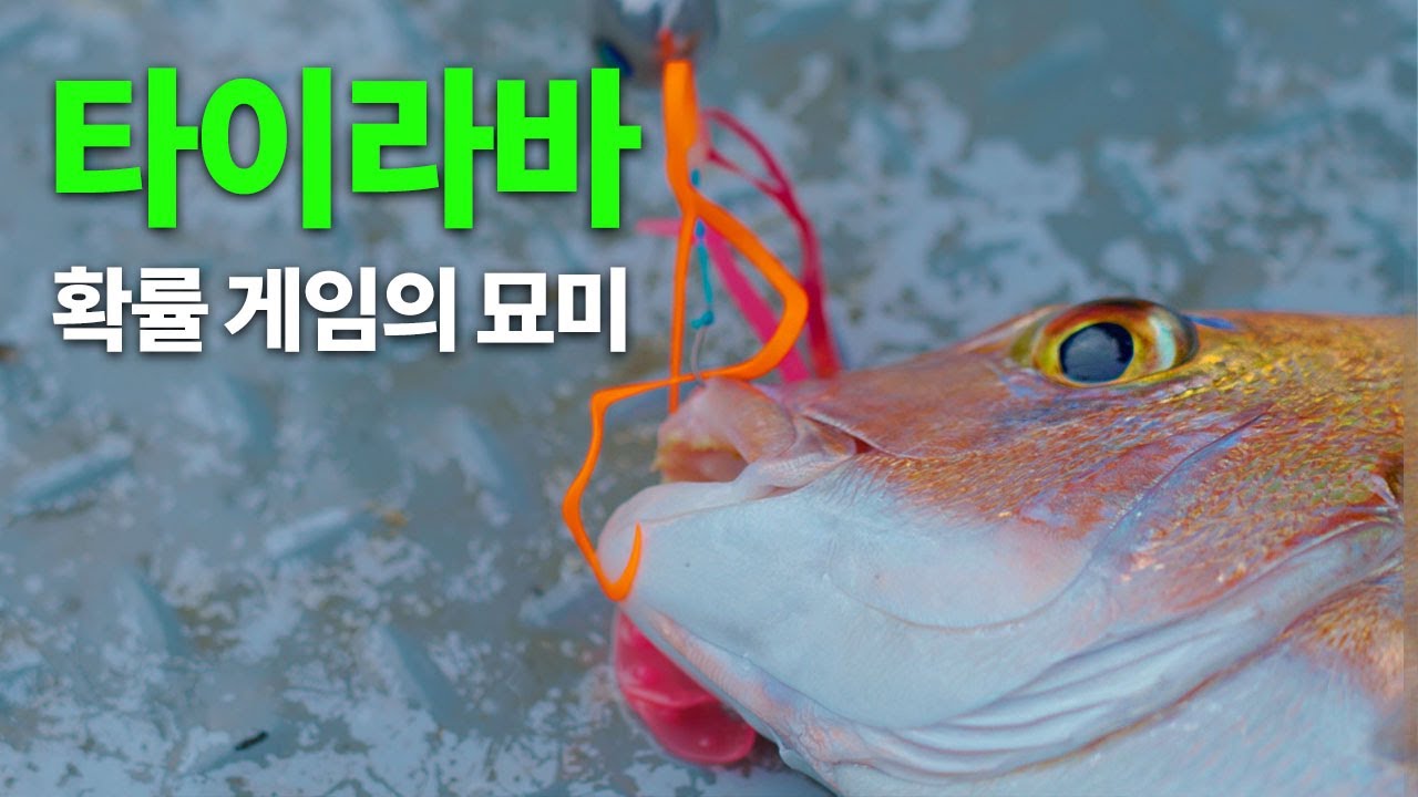 제주 타이라바, 도박사의 첫 출조는 과연?! | 바다로 간 도박사 1편