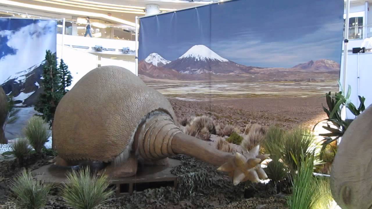 Aberdeen Centre Ice Age Exhibit Video #1