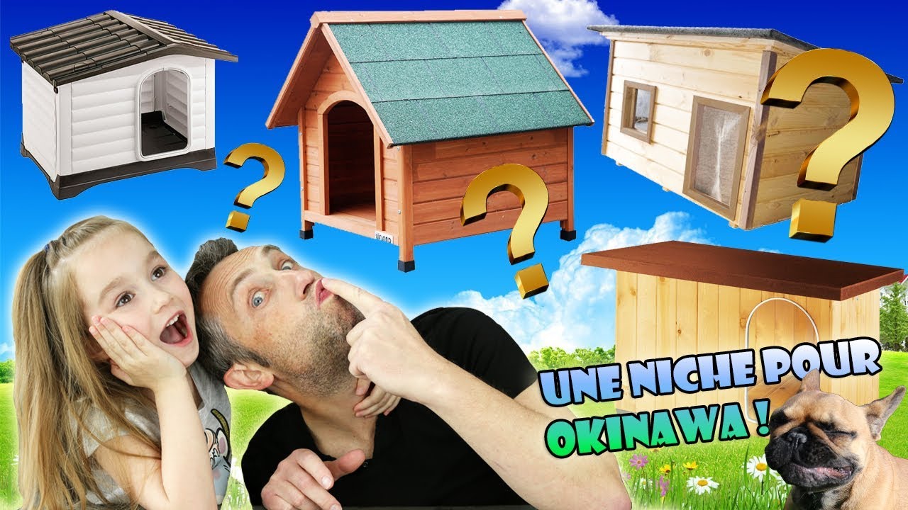 On cherche une NICHE extérieure pour notre CHIEN Okinawa ! Cabane GAMM'VERT