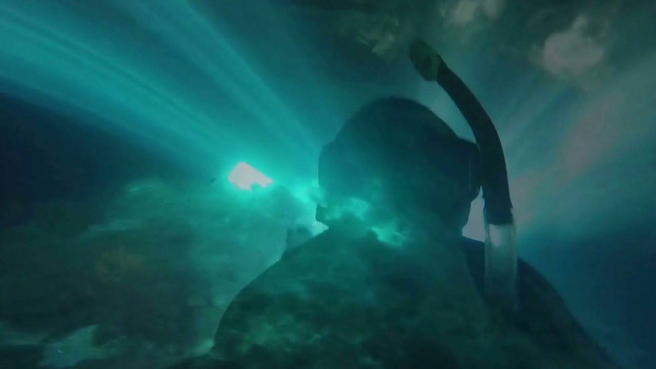 Free diving at Devil's Den Cave Williston, FL