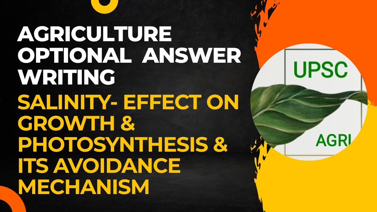 Влияние засоления на рост и фотосинтез, а также механизм его предотвращения | Сельское хозяйство ...