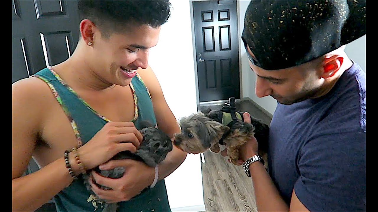 CHiNCHiLLA VS PUPPY!!