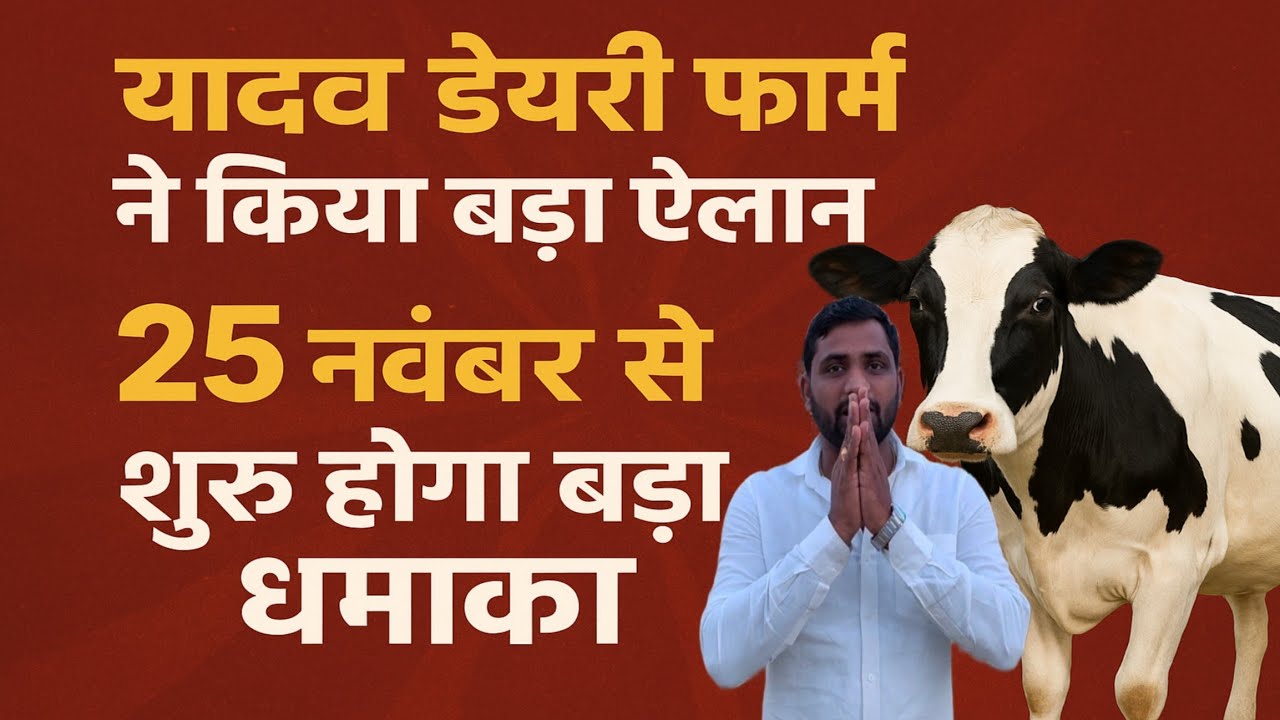 यादव डेयरी फार्म का ऐलान 25 नवंबर से शुरू होगा बड़ा धमाका! yadav dairy farm lucknow up/dairy farm up