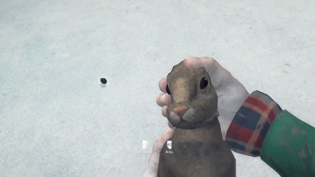 The Long Dark new rabbit killing animation