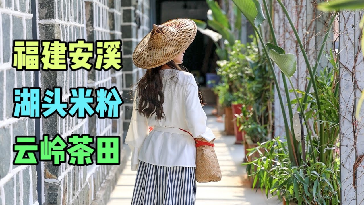福建泉州安溪縣|感受茶園里春天的氣息|Lisa吃安溪特產美食湖頭米粉|官橋豆乾Chinese food Anxi rice noodles