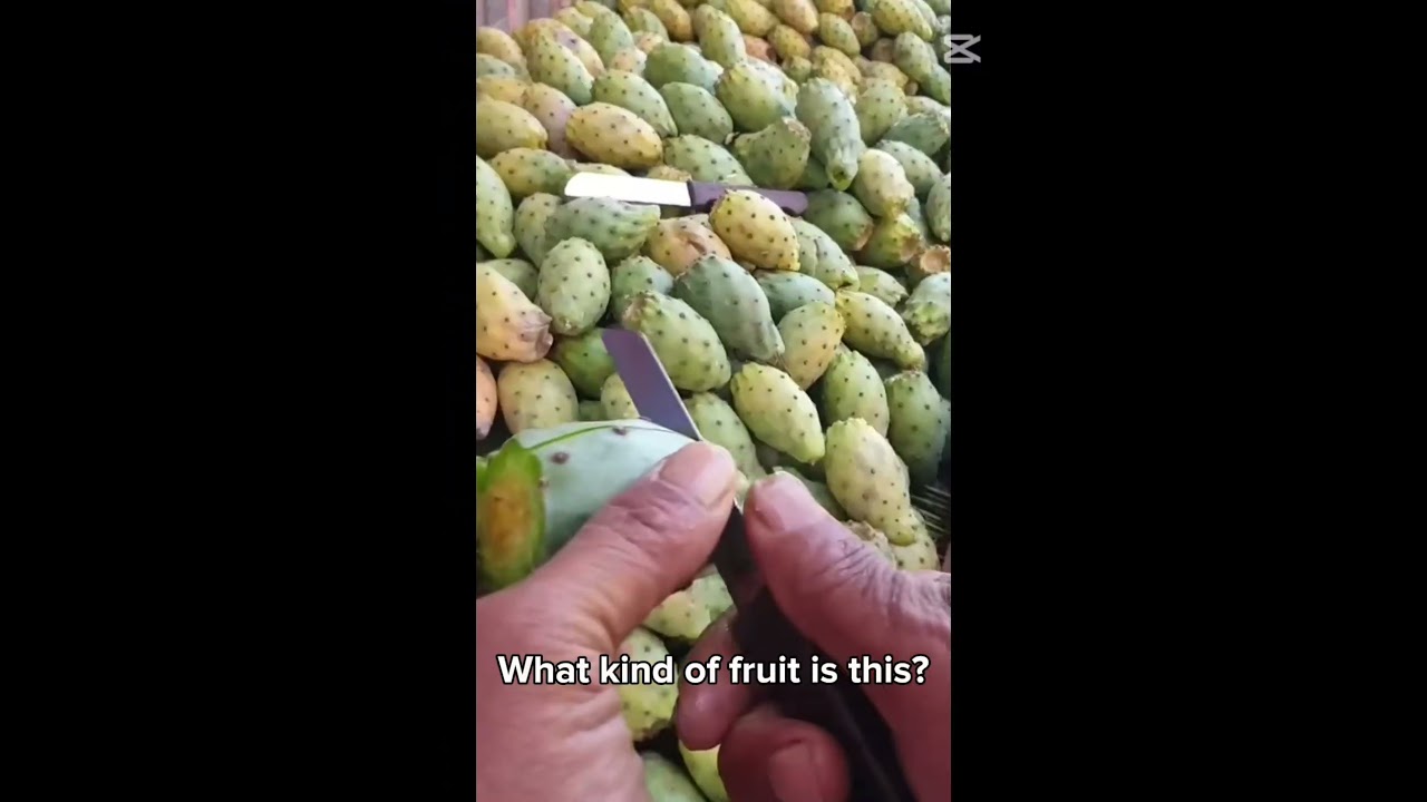 What kind of fruit is this? #fruit