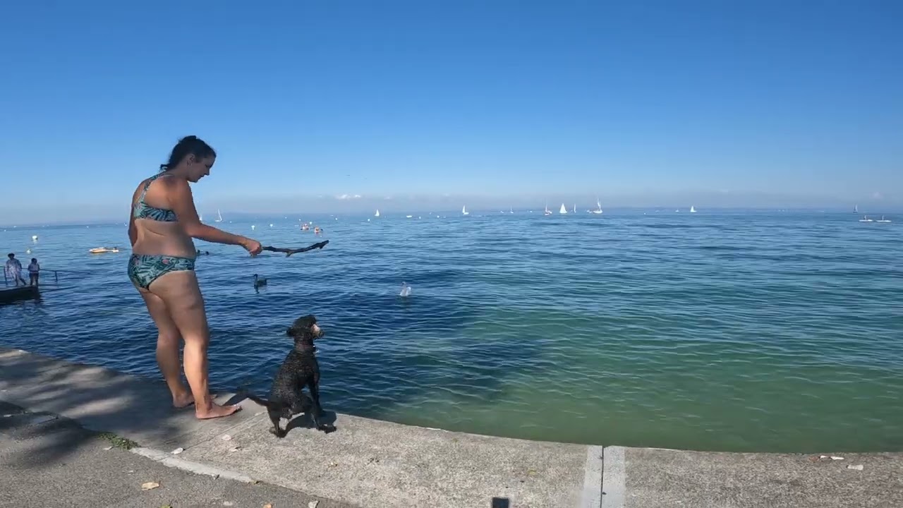 Entdeckung von Arbon am Bodensee