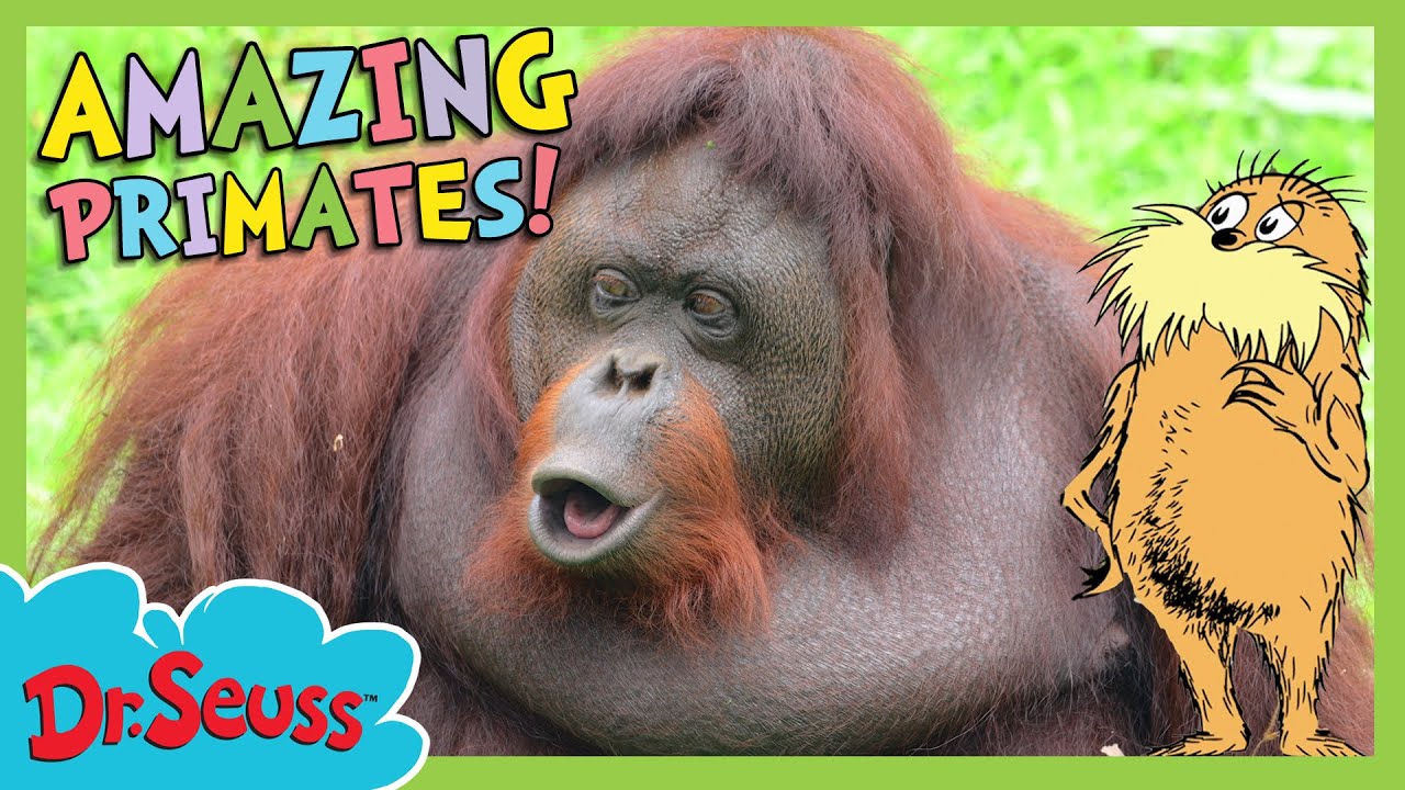 Full Episode: How Do Monkeys Talk To Each Other? | The Lorax Nature Keepers Club | Dr. Seuss