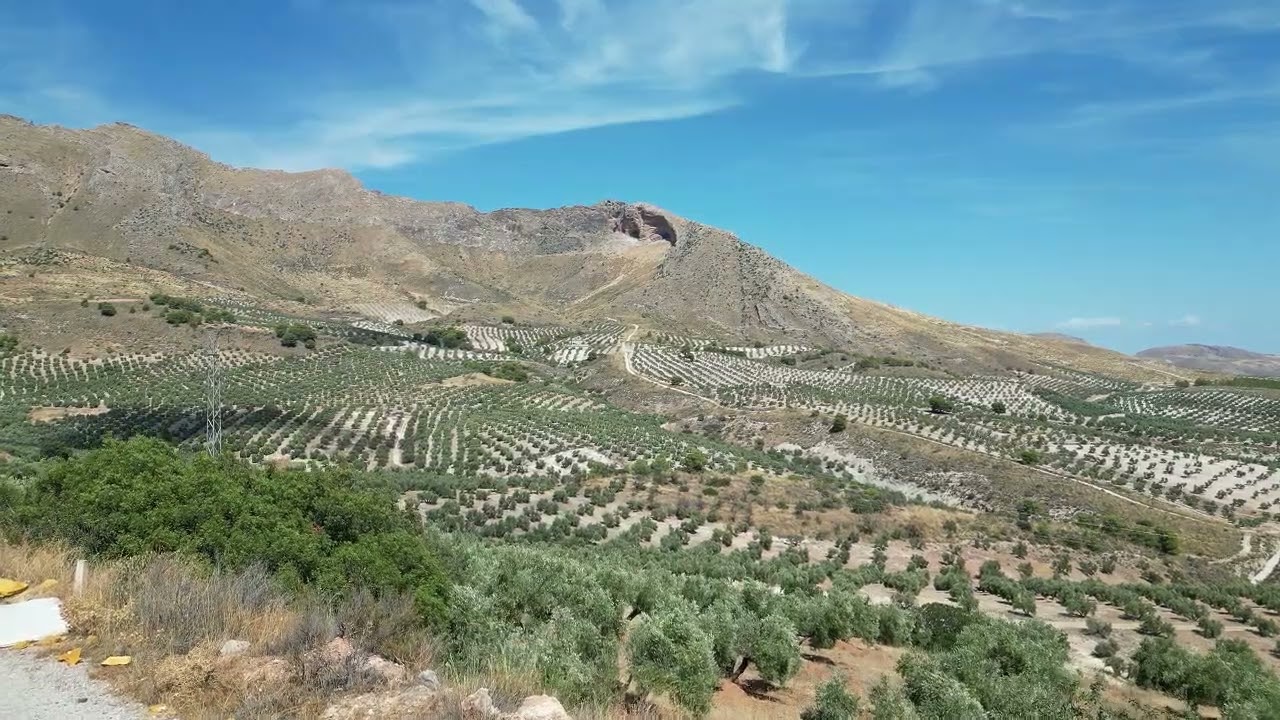 Jaen Provincia Sept. 2024
