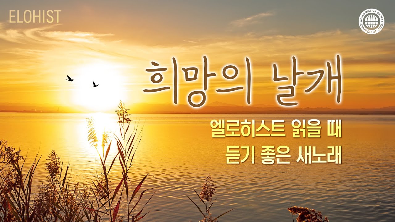 엘로히스트 읽을 때 듣기 좋은 새노래 #1│2024
