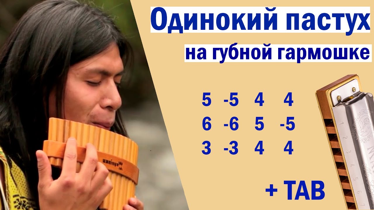 Одинокий пастух│На губной гармошке│TAB