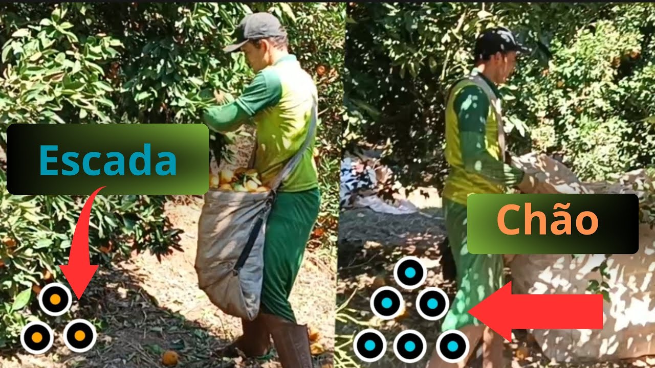 Agora voc&ecirc; n&atilde;o vai mais ter d&uacute;vida. melhor jeito de COLHER LARANJA 🍊