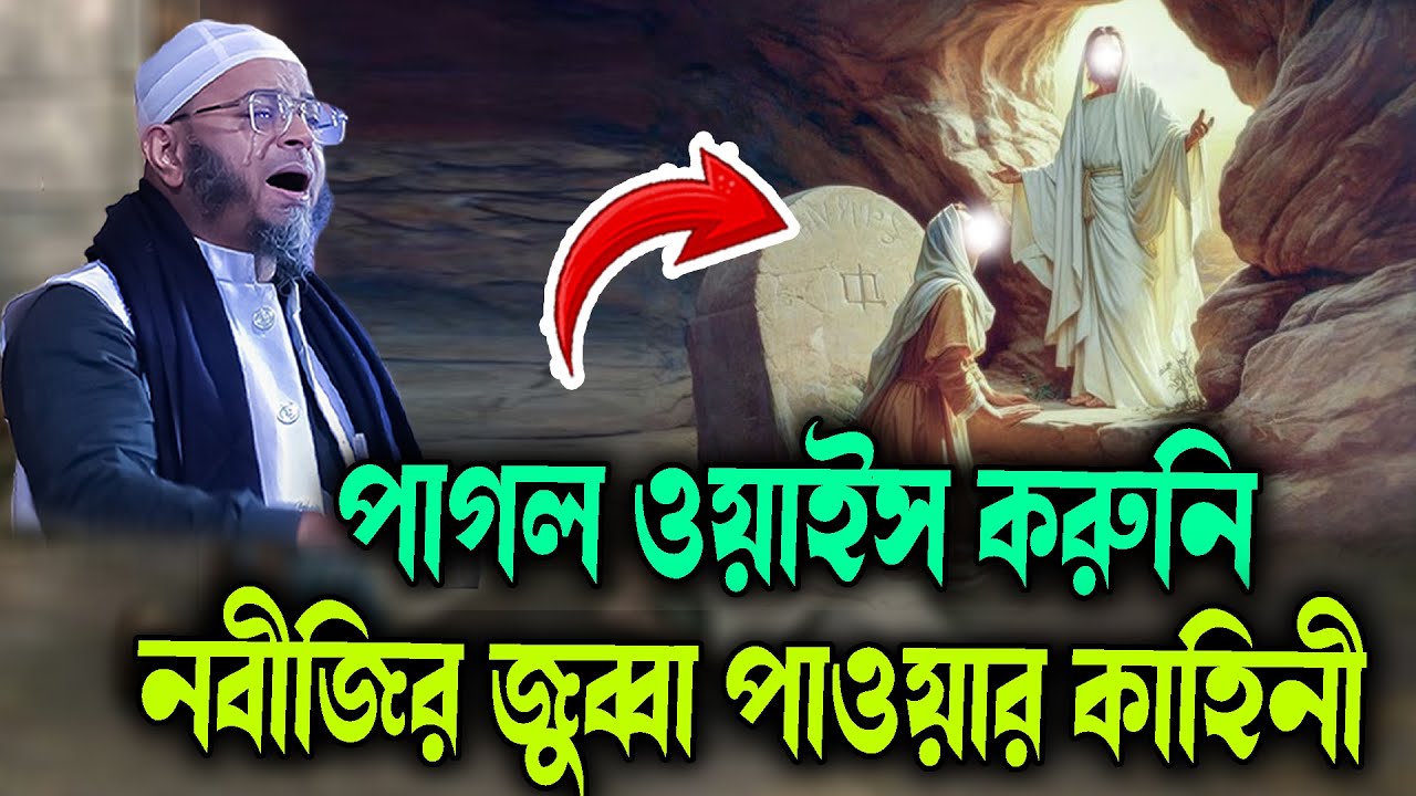 পাগল ওয়াইস করুনি নবীজির জুব্বা পাওয়ার কাহিনী মুফতি নাসির উদ্দিন আনসারী নতুন ওয়াজ waz 2026 Bangla Waz
