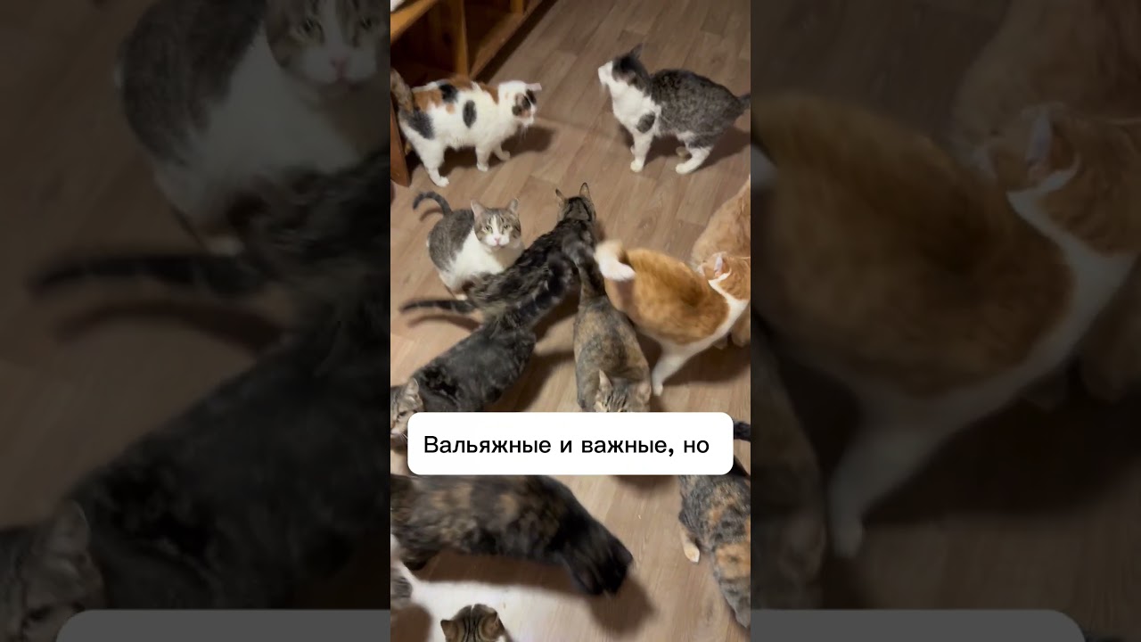 Буду благодарна заказам через ПВЗ. Активные ссылки в ВК, ТГ и Макс. Жду вас там спасибо.