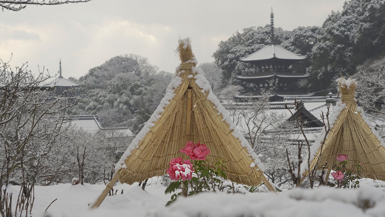 白き静寂　雪の當麻寺