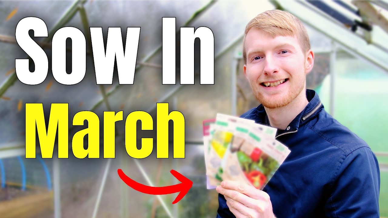 Вы ОБЯЗАТЕЛЬНО должны посеять эти семена в марте | Садоводство для начинающих
