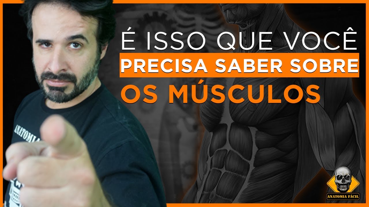 É ISSO QUE VOCÊ PRECISA SABER SOBRE OS MÚSCULOS
